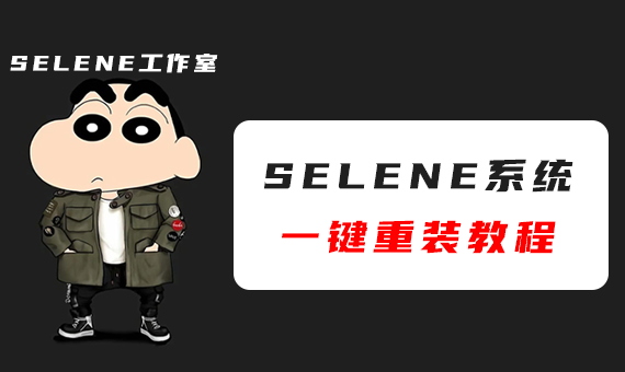 Selene系统工作室电脑一键重装系统使用教程